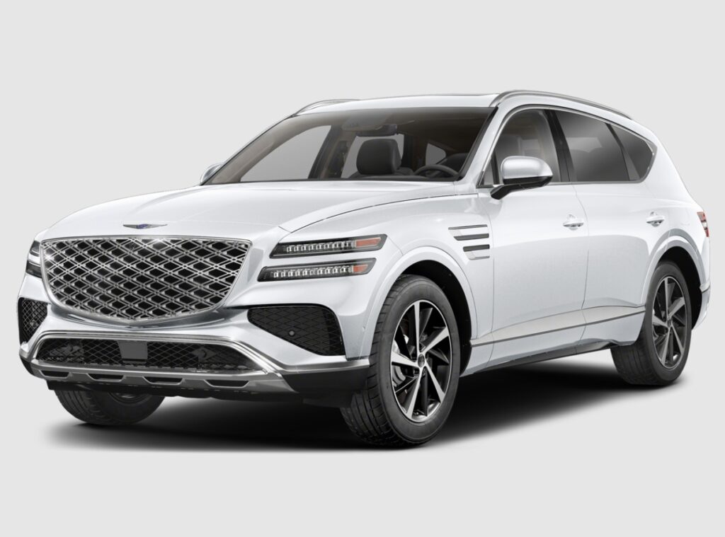 WhatsApp Image 2026-02-01 at 08.52.29